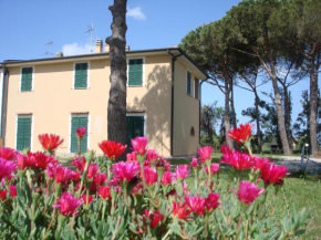 Casa Vacanze Vignarca - Località Perelli